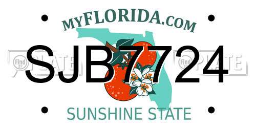 SJB7724 Florida License Plate
