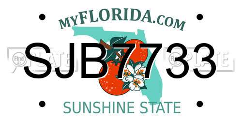 SJB7733 Florida License Plate