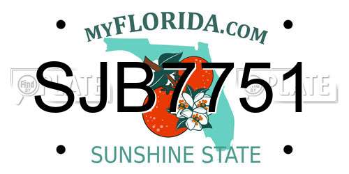 SJB7751 Florida License Plate