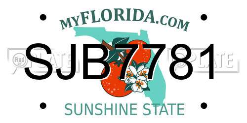 SJB7781 Florida License Plate