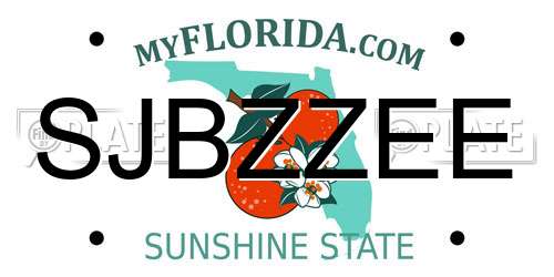 SJBZZEE Florida License Plate