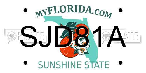 SJD81A Florida License Plate
