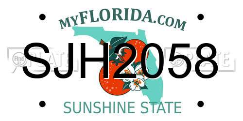 SJH2058 Florida License Plate