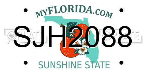 SJH2088 Florida License Plate