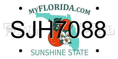 SJH7088 Florida License Plate