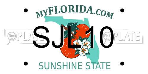 SJL10 Florida License Plate