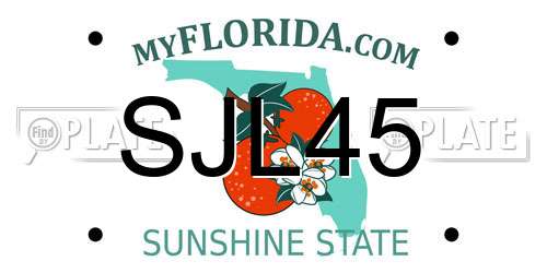 SJL45 Florida License Plate