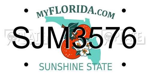 SJM3576 Florida License Plate
