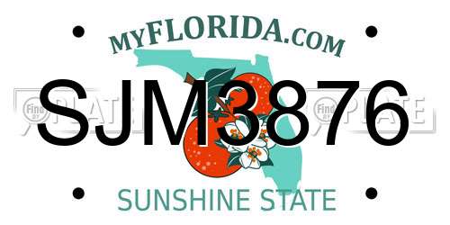 SJM3876 Florida License Plate