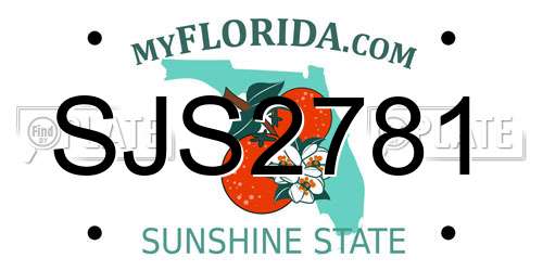 SJS2781 Florida License Plate