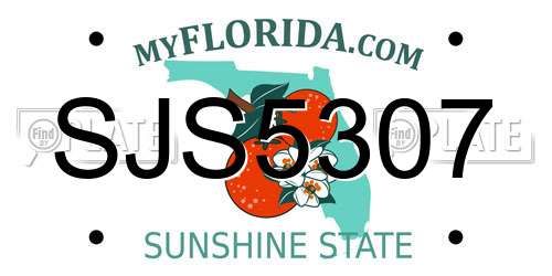 SJS5307 Florida License Plate