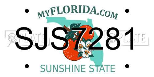 SJS7281 Florida License Plate
