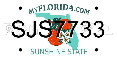 SJS7733 Florida License Plate