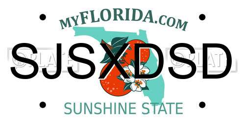 SJSXDSD Florida License Plate
