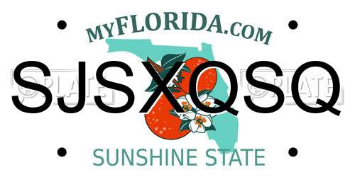 SJSXQSQ Florida License Plate