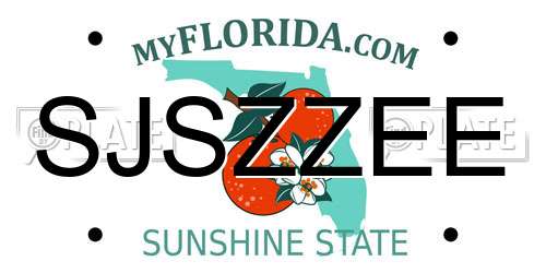 SJSZZEE Florida License Plate