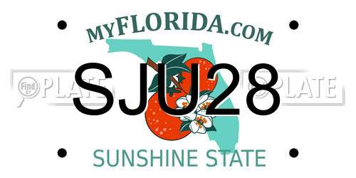 SJU28 Florida License Plate