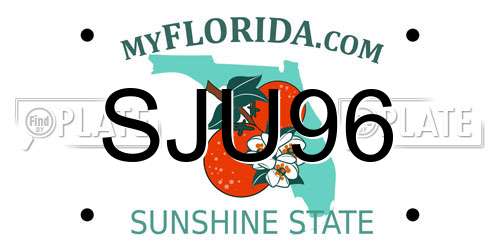 SJU96 Florida License Plate