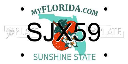 SJX59 Florida License Plate