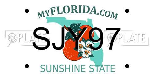 SJY97 Florida License Plate