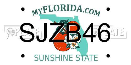 SJZB46 Florida License Plate