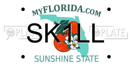 SK1LL Florida License Plate