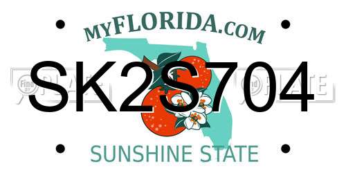 SK2S704 Florida License Plate