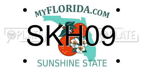SKH09 Florida License Plate