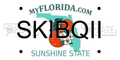 SKIBQII Florida License Plate
