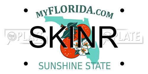 SKINR Florida License Plate