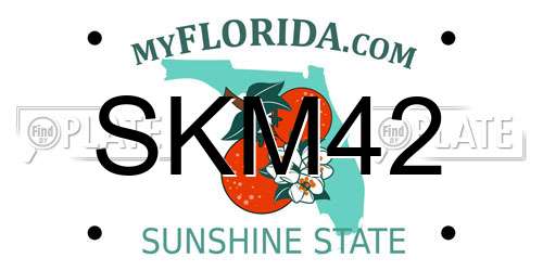 SKM42 Florida License Plate