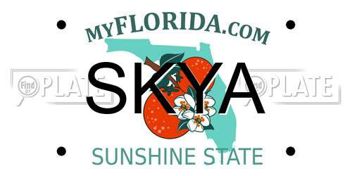 SKYA Florida License Plate