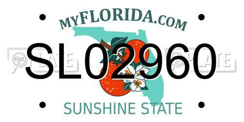 SL02960 Florida License Plate