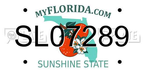 SL07289 Florida License Plate