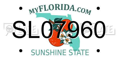 SL07960 Florida License Plate