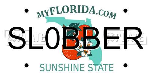 SL0BBER Florida License Plate