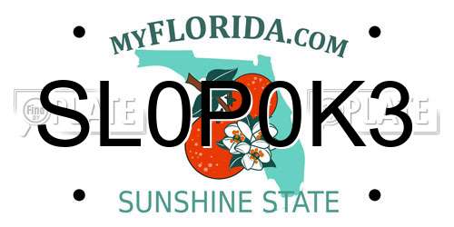 SL0P0K3 Florida License Plate