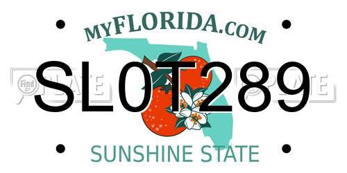 SL0T289 Florida License Plate
