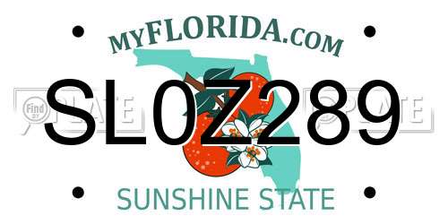 SL0Z289 Florida License Plate
