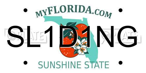 SL1D1NG Florida License Plate
