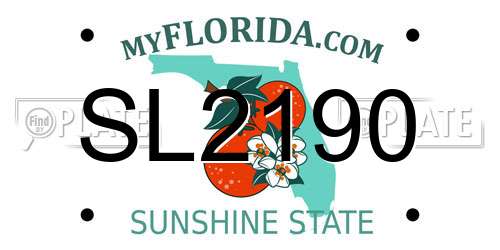 SL2190 Florida License Plate