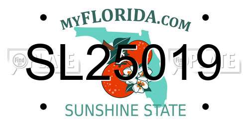SL25019 Florida License Plate