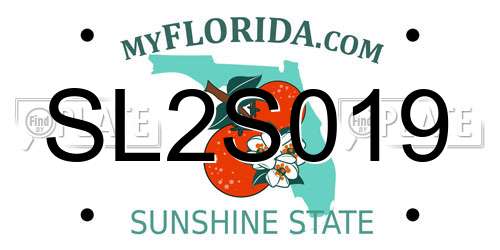 SL2S019 Florida License Plate