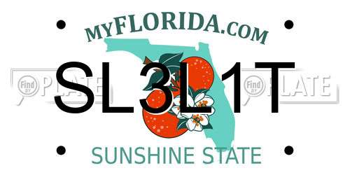 SL3L1T Florida License Plate