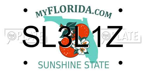 SL3L1Z Florida License Plate