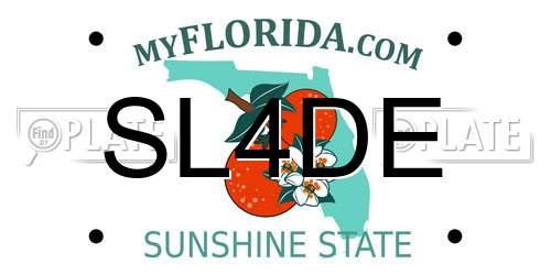 SL4DE Florida License Plate