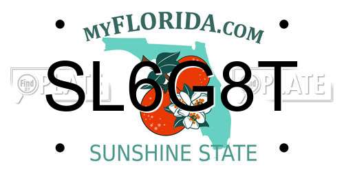 SL6G8T Florida License Plate