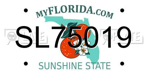 SL75019 Florida License Plate