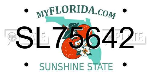 SL75642 Florida License Plate