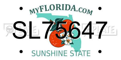 SL75647 Florida License Plate